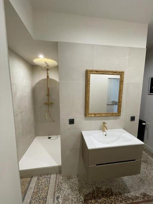 Appartement Chic Et De Caractere ! Saint-Cyr-au-Mont-d'Or Zewnętrze zdjęcie